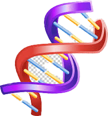 MAX NUMBER OF DNA