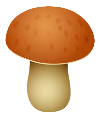 MAX NUMBER OF Mushrooms