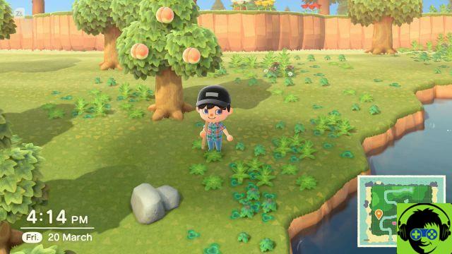 Come ottenere diversi tipi di frutta in Animal Crossing: New Horizons