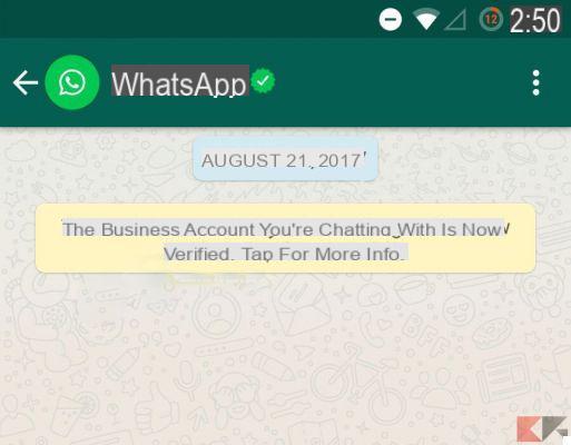 WhatsApp Business: come funziona