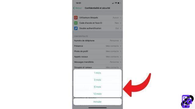 Como agendar o apagamento automático da minha conta no Telegram?