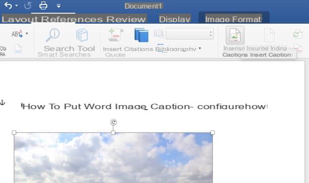 How to put caption on Word images