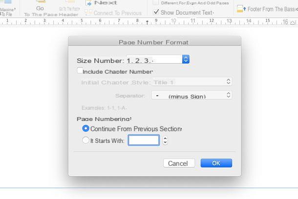How to put Word page numbers