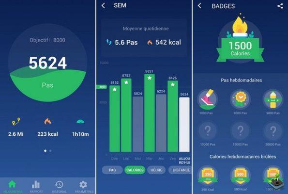 10 Best Pedometer Apps for iPhone