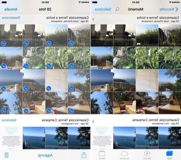 Cómo seleccionar todas las fotos en iPhone
