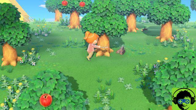 Animal Crossing: New Horizons - Como conseguir mais pedras, gravetos e galhos