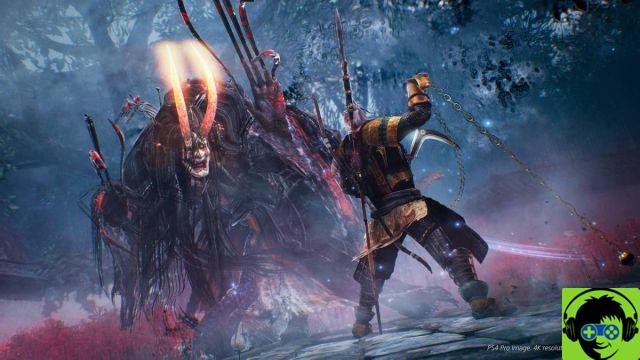 NioH - Guide for Beginners, You Should Know