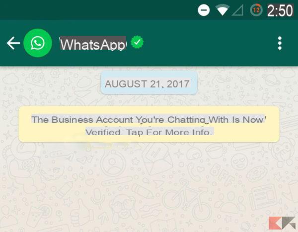 Spunte verdi WhatsApp: come funzionano
