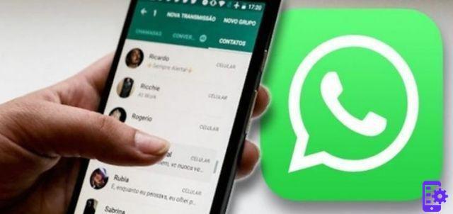 Como excluir mensagens do WhatsApp enviadas por engano