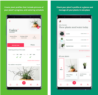Best plant care apps