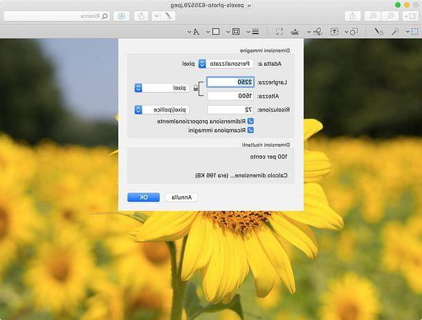 Cómo cambiar el tamaño de una foto en Mac