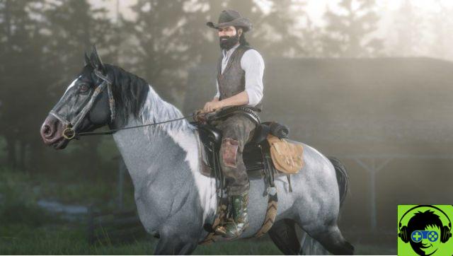 10 tips for successful hunting in Red Dead Online