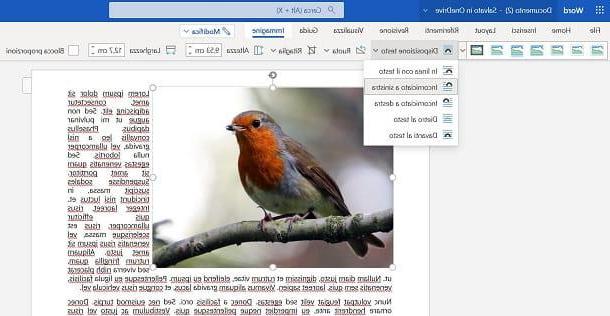 How to anchor a picture in Word