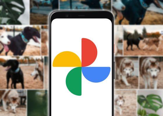 Google Fotos: como baixar todas as suas fotos (2021)