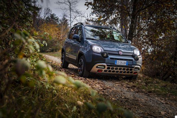 New FIAT Panda 2021: the Sport variant of the car is back but it is ... lukewarm