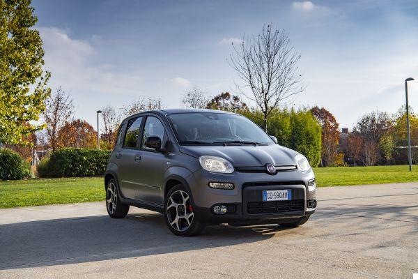 New FIAT Panda 2021: the Sport variant of the car is back but it is ... lukewarm