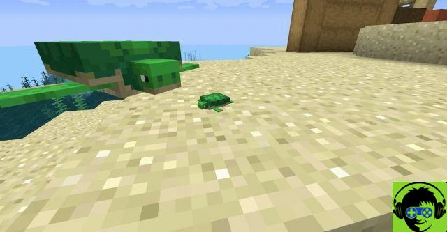 Como criar tartarugas no Minecraft