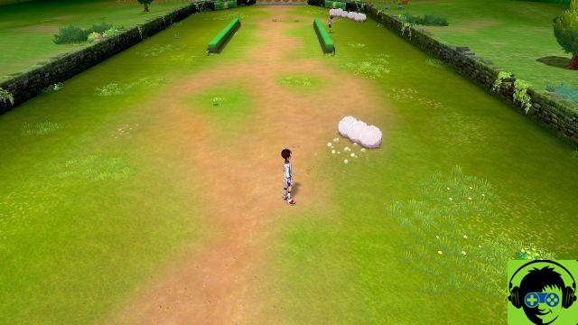 Pokemon Sword and Shield - How to complete Turffield Gym mission