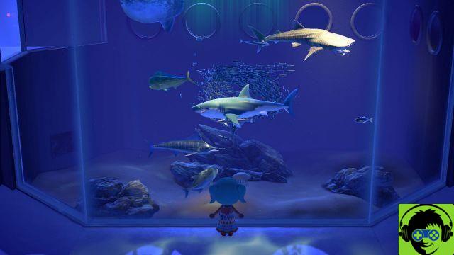 Animal Crossing: New Horizons - Come catturare gli squali