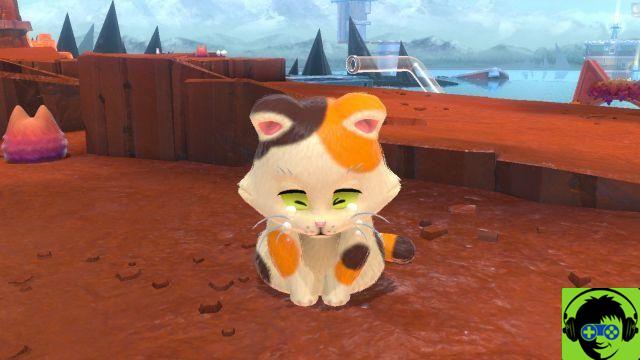 Super Mario 3D World: Fúria de Bowser - Todas as localizações de gatinhos perdidos | Daisy Cat Quest Guide