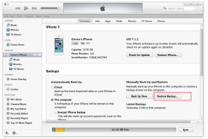 Transfer Data from Old iPhone to New iPhone