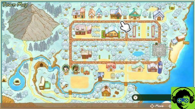 How to get more inventory and tool pocket space in Story of Season: Friends of Mineral Town