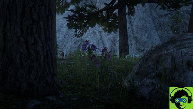 Where to find Harrietum Officinalis in Red Dead Online