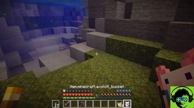 Cómo encontrar y adquirir Axolotl en la actualización de Minecraft Caves & Cliffs