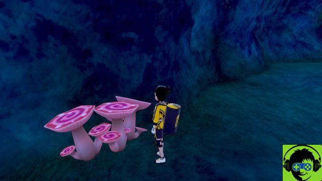 Pokémon Spada e Scudo: Isola di Armatura - Dove sono i tre funghi Max?