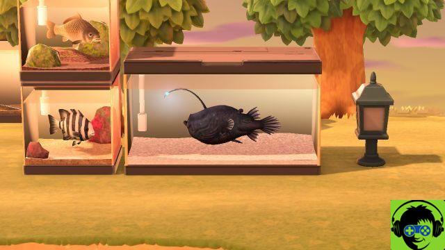 Como pegar um peixe de futebol em Animal Crossing: New Horizons