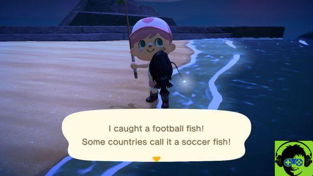 Cómo pescar un pez de fútbol en Animal Crossing: New Horizons