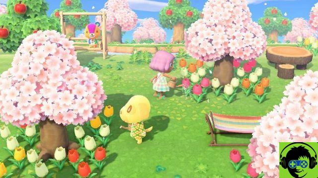 Tutto è stato rivelato in Animal Crossing il 20 febbraio su Nintendo Direct