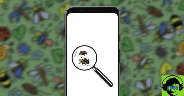Os 4 aplicativos para identificar os insetos mais recomendados