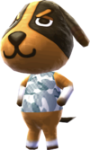 Tutti i compleanni in Animal Crossing: New Horizons