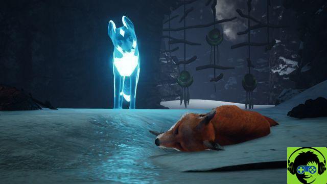 Spirit of the North - Review of the Nintendo Switch version
