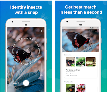 The best apps to identify animals
