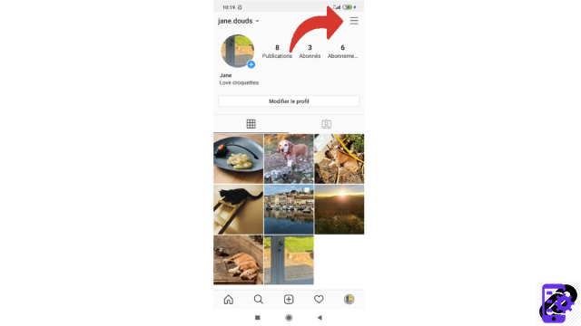 How do we find out what data Instagram has collected on our profile?