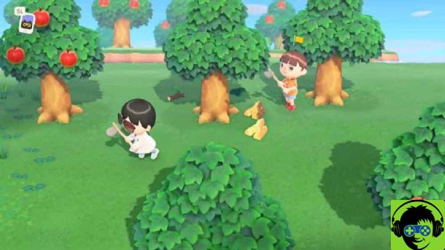 Animal Crossing New Horizon 11 Tarefas Diarias