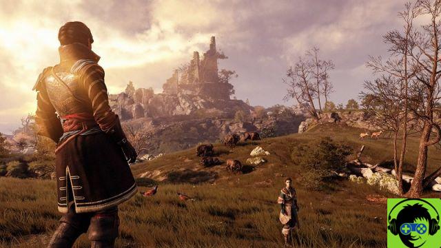 Greedfall | Guide | How to solve Puzzle Quest, Solution