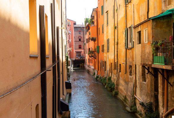 InformaticsKings Fibra tells you 5 things you don't know about Bologna