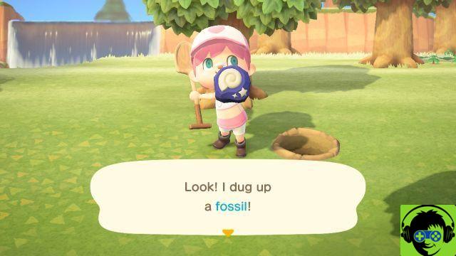 Cómo encontrar y evaluar fósiles en Animal Crossing: New Horizons