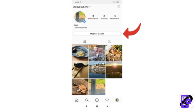 How to change your username on Instagram?