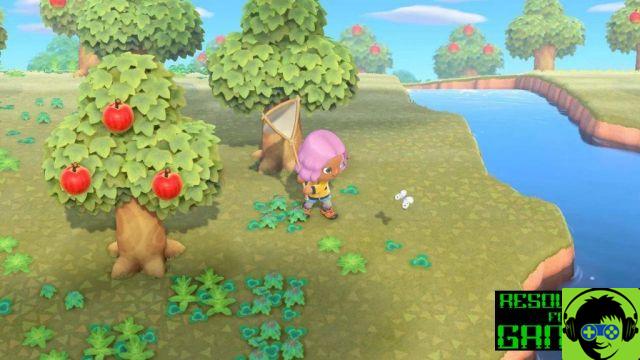 Animal Crossing: New Horizons - Guia de Insectos