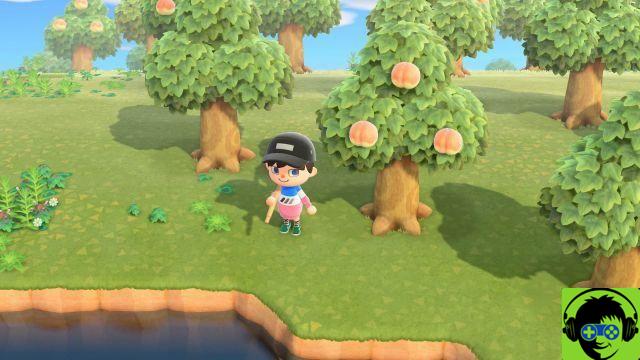 Come spostare gli alberi in Animal Crossing: New Horizons
