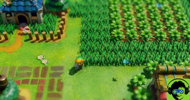 Legend of Zelda: Link Awakening On Switch - Como se livrar do guaxinim na floresta misteriosa