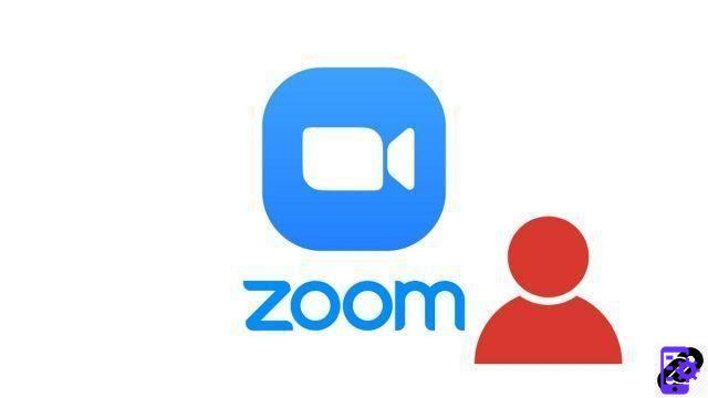 ¿Cómo agregar un contacto en Zoom?